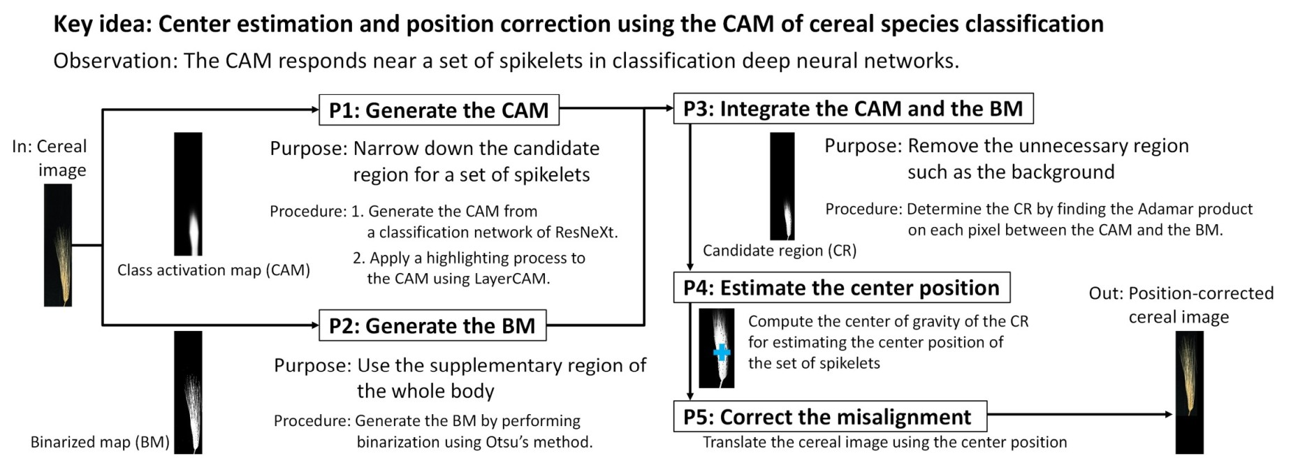 CerealCenter.jpg